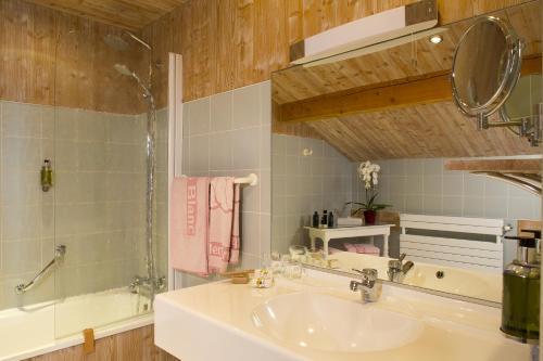 Hotel Ours Blanc Hotel&spa Saint-Martin-de-Belleville